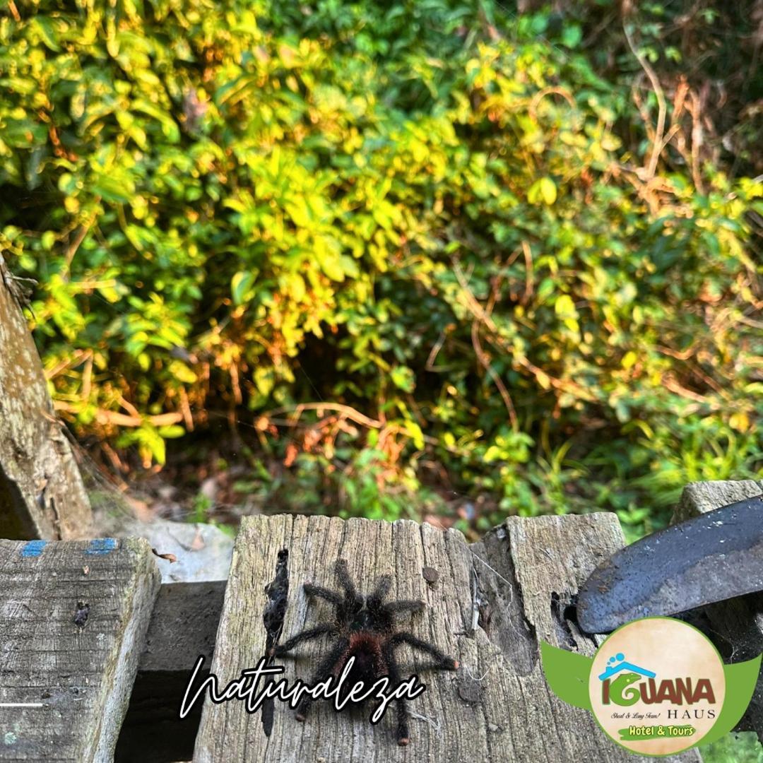 Appartamento Iguana Haus Iquitos Esterno foto